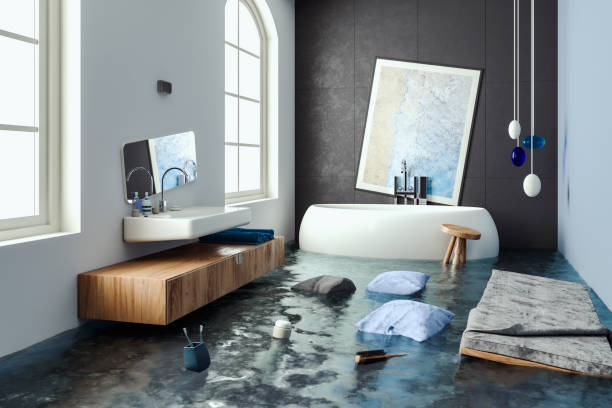 Best Ceiling water damage repair  in Staunton, VA