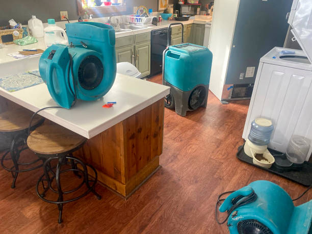 Trusted Staunton, VA Water damage restoration Experts