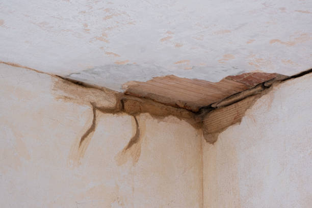 Best Water damage cleanup near me  in Staunton, VA