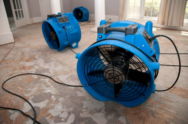 Best Professional water damage repair  in Staunton, VA