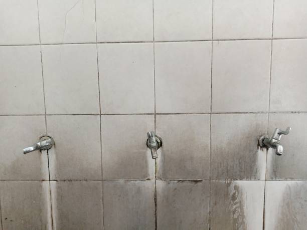 Best Ceiling water damage repair  in Staunton, VA