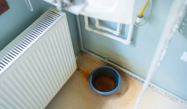 Best Water damage restoration process  in Staunton, VA