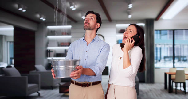 Best Carpet water damage restoration  in Staunton, VA