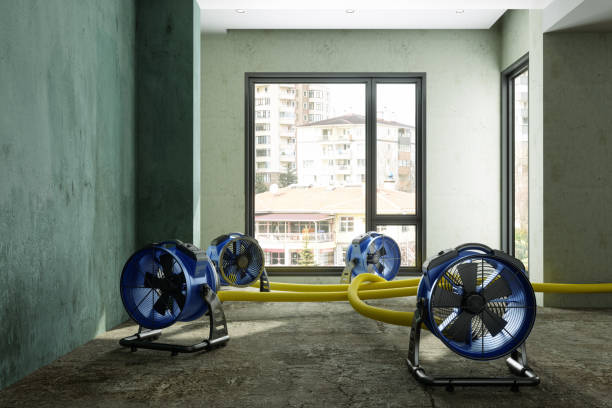 Best Emergency water damage restoration  in Staunton, VA